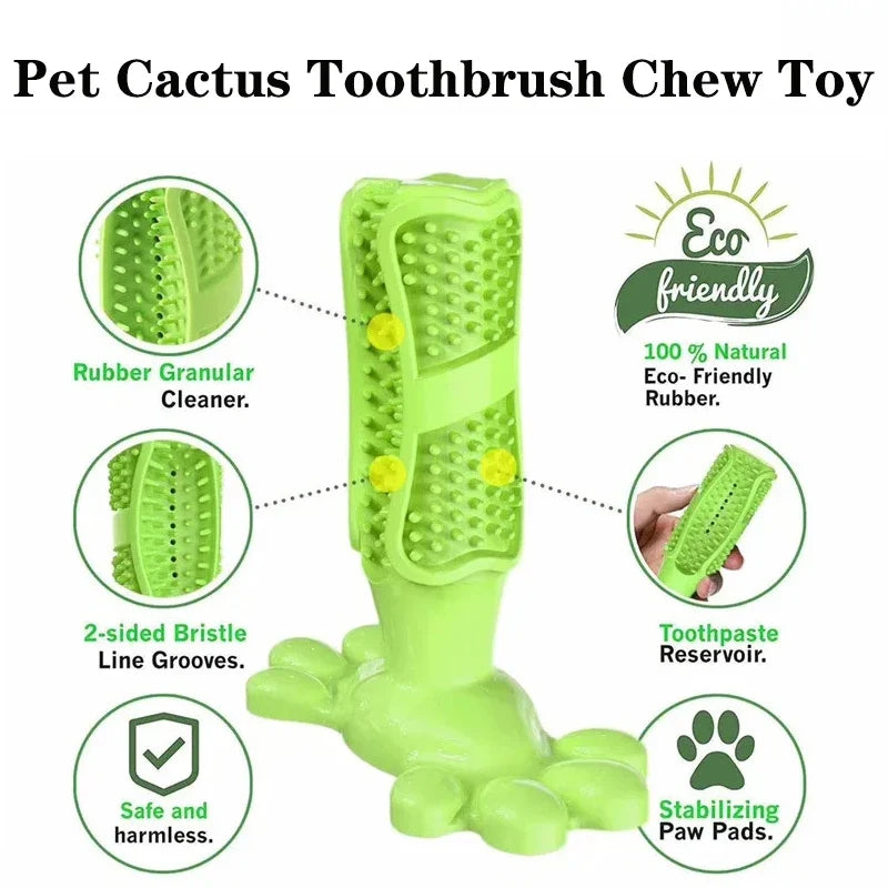 Pet Dog Cactus Interactive Rubber Bite - ProPawPet.com