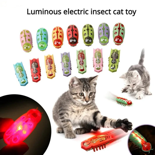 Cat Toys Light-up Electric Worms Pet - ProPawPet.com