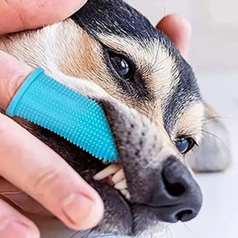 1/2/3pcs Dog Super Soft Pet Finger - ProPawPet.com