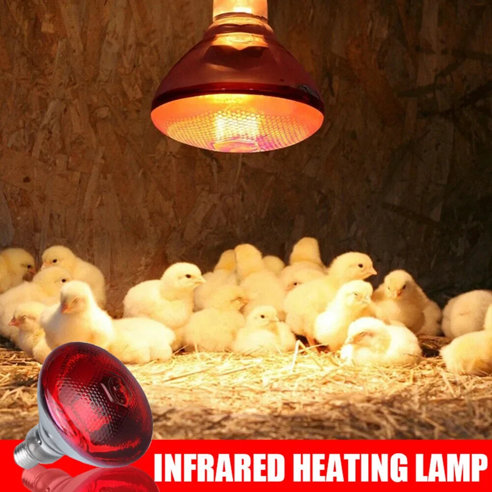 250w Infrared Heat Lamp Waterproof - ProPawPet.com