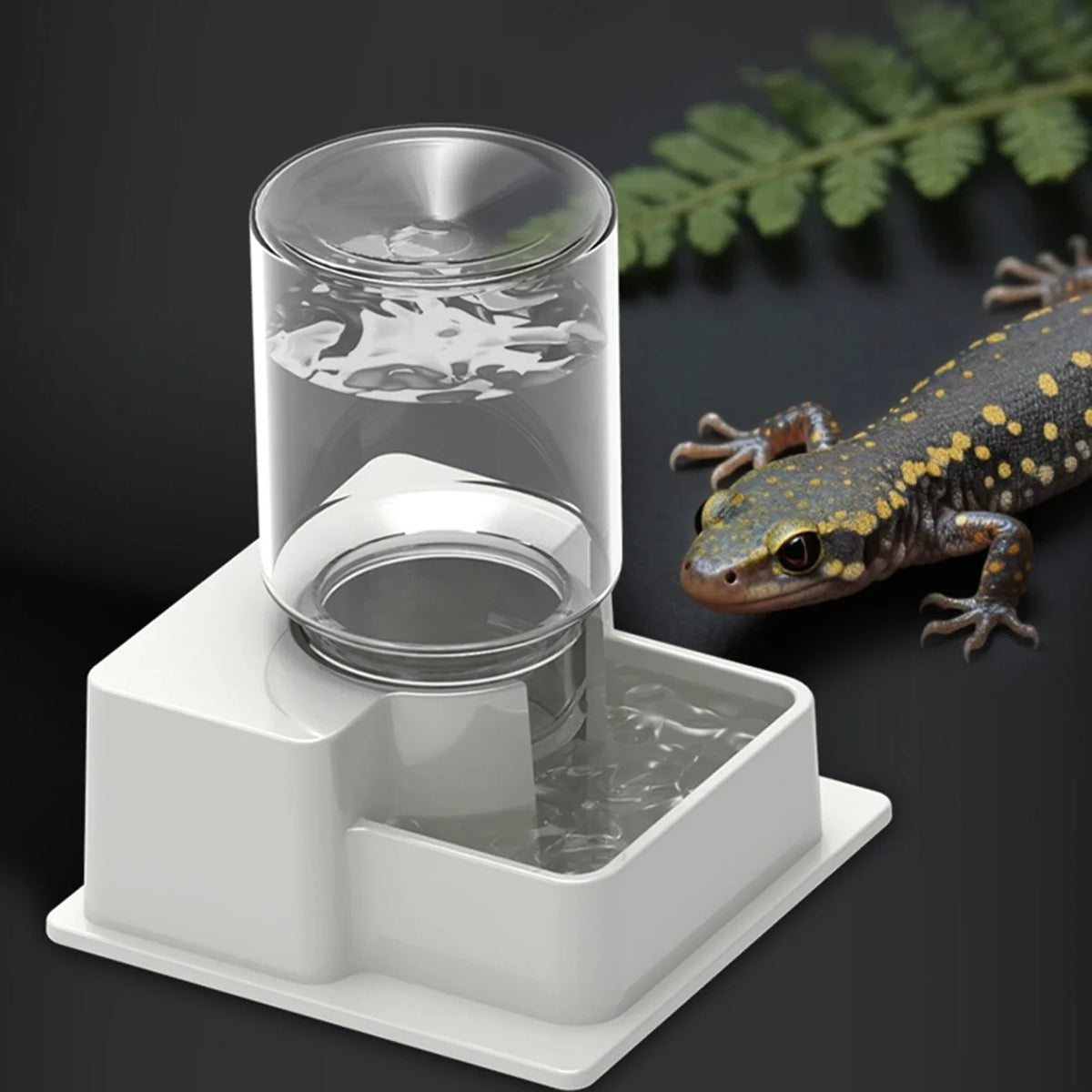 Automatic Reptile Water Dish Reusable - ProPawPet.com