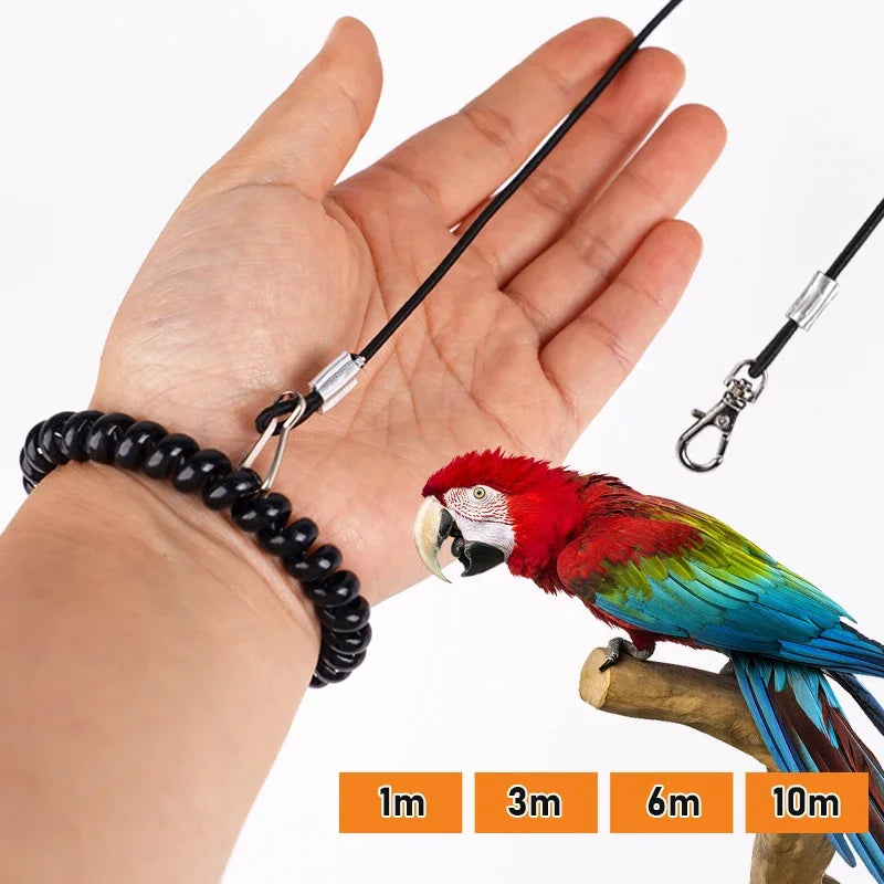 Pet Bird Outdoor Training Harness Rope Bird - ProPawPet.com