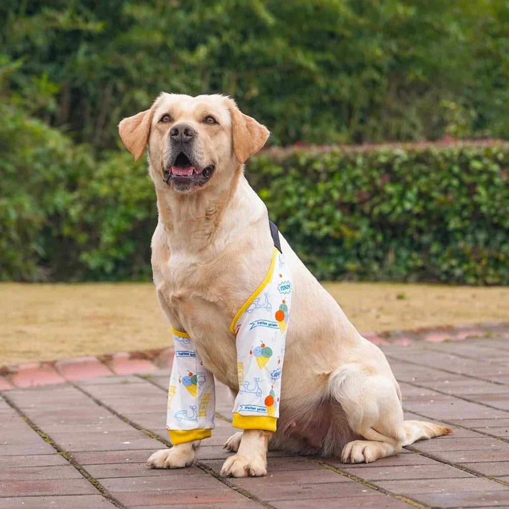Pet Knee Pads for Joint Injury Recovery Legs - ProPawPet.com