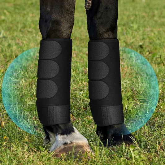 2pcs/set Horse Leg Wraps Shock Absorbing - ProPawPet.com