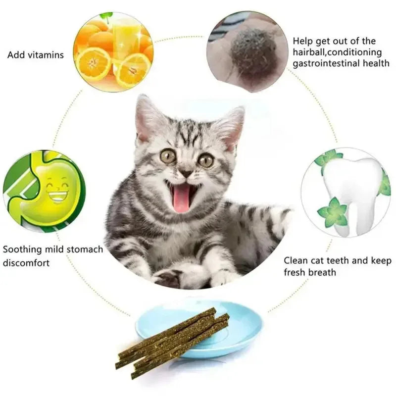 6-24Pcs Natural Matatabi Cat Stick Mint - ProPawPet.com