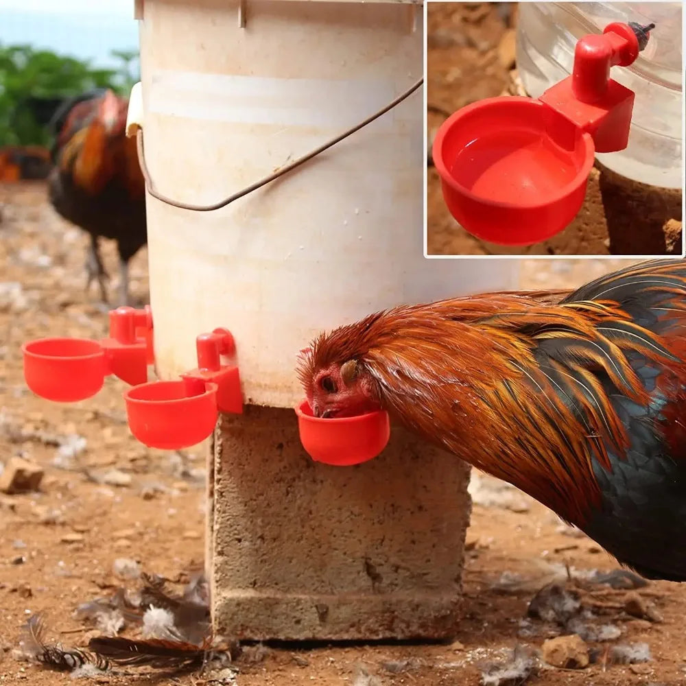 6-36pcs Automatic Chicken Waterer Bird - ProPawPet.com