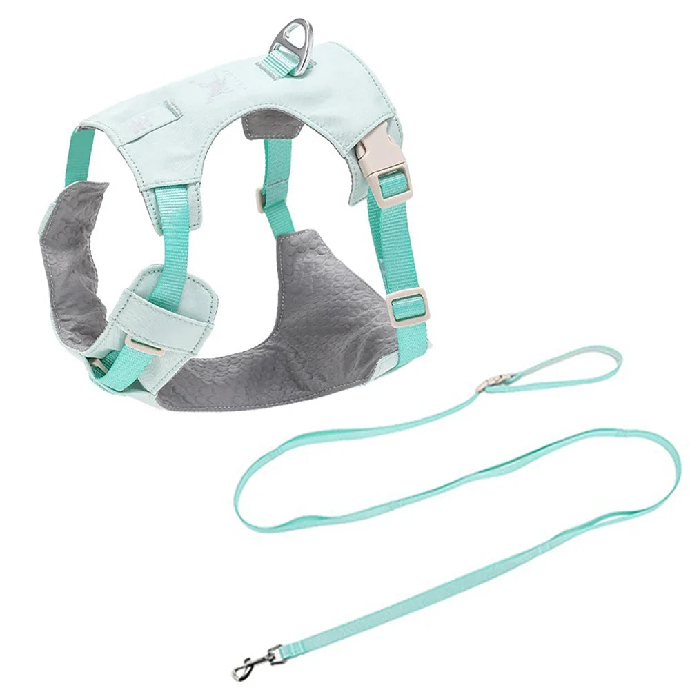 Lightweight Dog Harness & Leash Set - ProPawPet.com