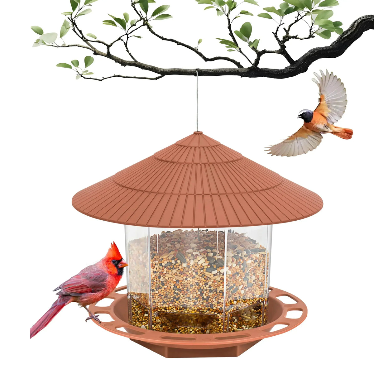 Automatic Bird Feeder Hanging Food Feeding Tool Gazebo Outdoor – 2 Colors