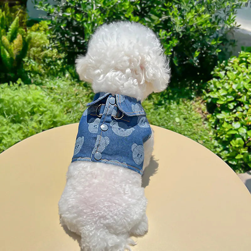 Denim Dog Harness and Lesh Set Pet Clothes - ProPawPet.com