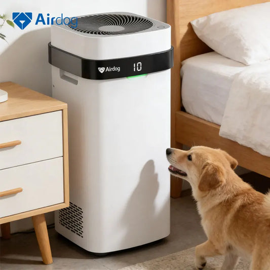 Reusable Filter Best Air Purifier for Smoke - ProPawPet.com