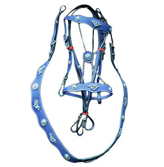 Ergonomic Leather Bridle Head Metal Draft - ProPawPet.com