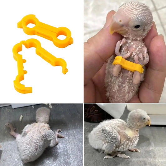 4/5/6mm Parrot Corrector Rutin Chicken - ProPawPet.com