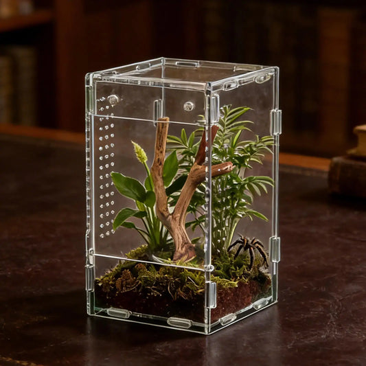 Acrylic Jumping Spider Enclosure Buckle Lock - ProPawPet.com