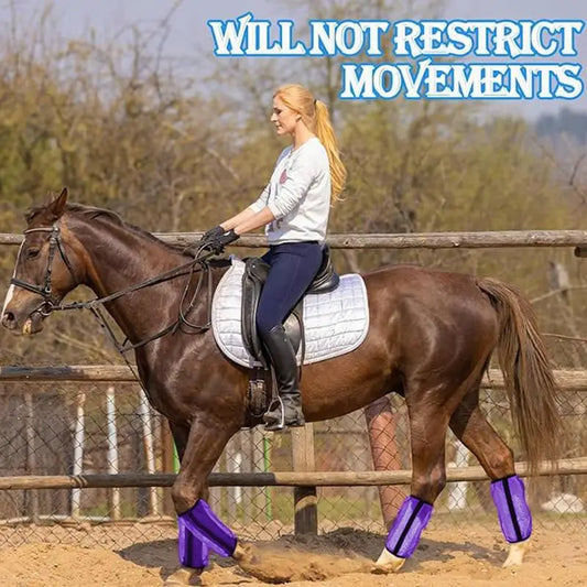 Horse Fly Boots Protective Horse Leggings - ProPawPet.com