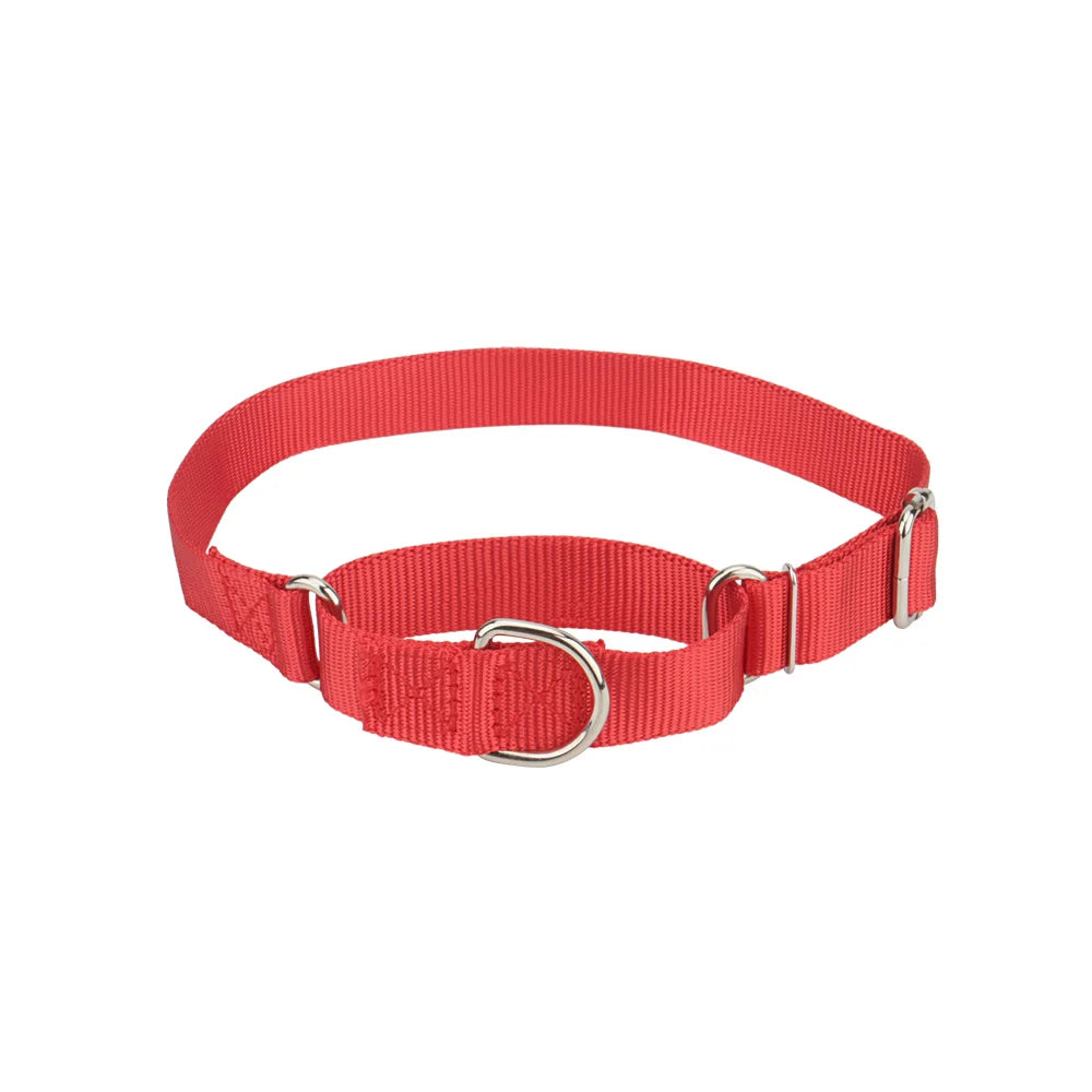 Martingale Collar for Dogs，Dog Collar with - ProPawPet.com