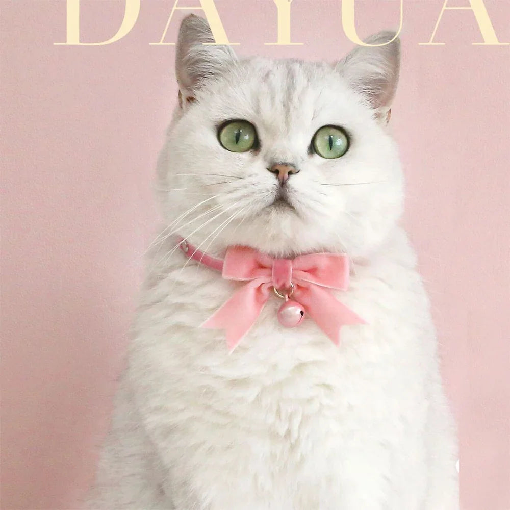 Cute Cats Collar Kitten Fairy Pink Lace Bow - ProPawPet.com