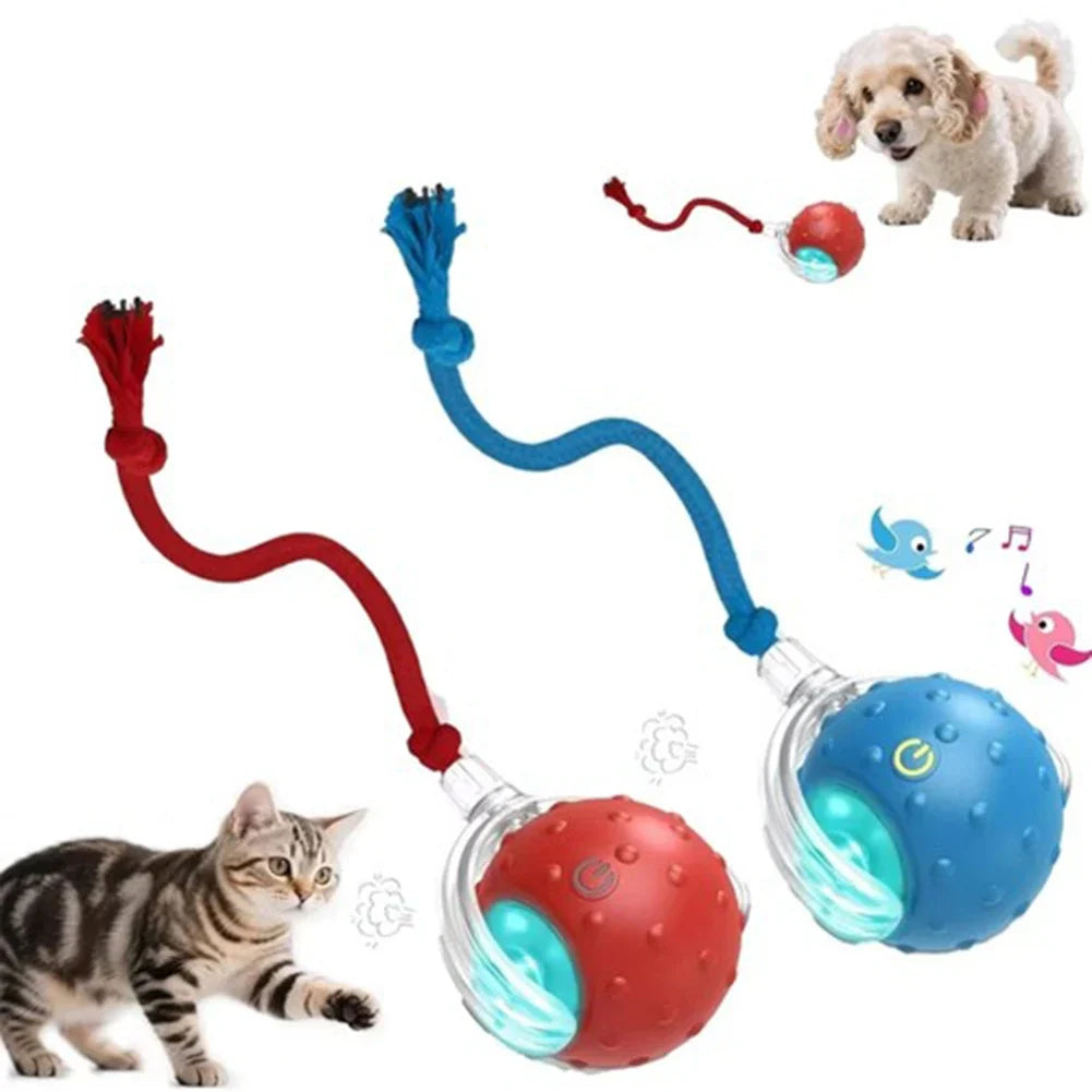 Electronic Interactive Cat Ball USB - ProPawPet.com