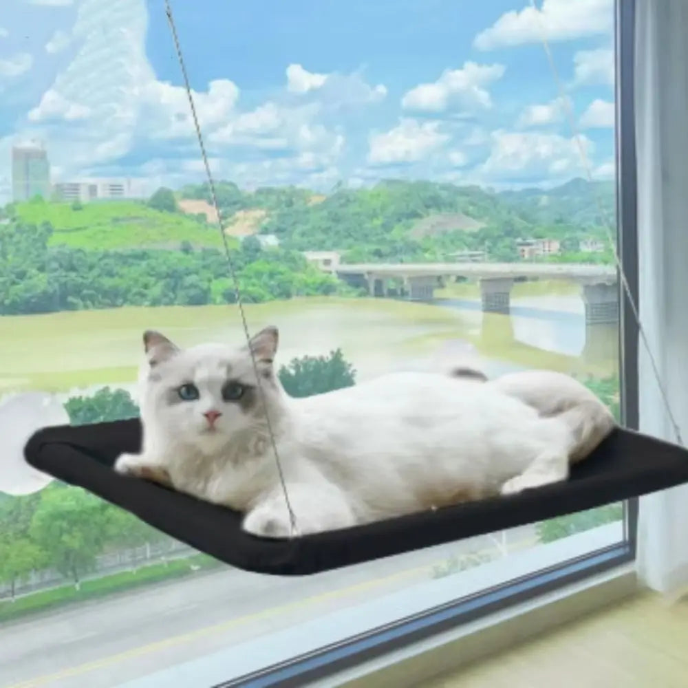 Pet Nest Creative Cat Hanging Bed Stable - ProPawPet.com
