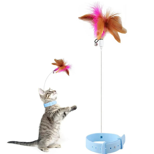 Neck Wear Cat Collar Teaser Toys, Self Play - ProPawPet.com