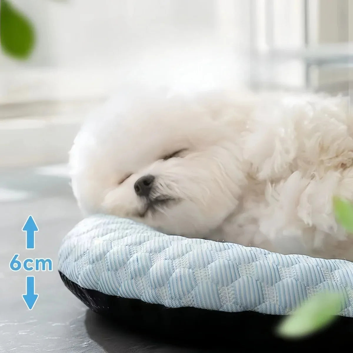 Cooling Mat Dog Accesories Summer Kennel - ProPawPet.com