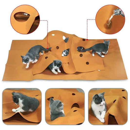 Cat Playing Game Mat Pet Toys Training - ProPawPet.com