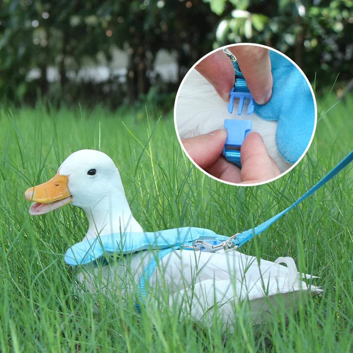 Angel Wing Pet Duck Walking Harness With - ProPawPet.com
