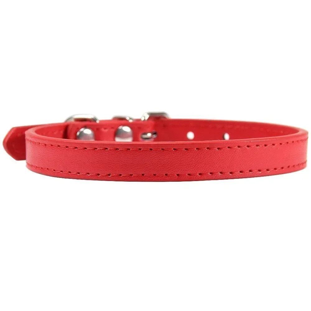 Colorful Leather Puppy Cat Collar Cute - ProPawPet.com