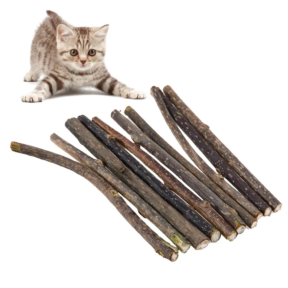 10-50PCS Natural Cat Catnip Toy Kitten Molar - ProPawPet.com
