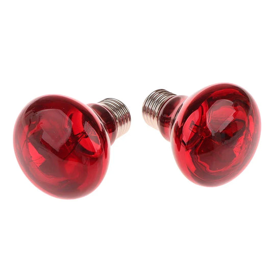 E27 UVA Poultry Bulb Infrared Night Light - ProPawPet.com