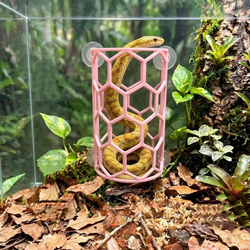 Reptile Honeycomb Climbing Shelf Suction Cup - ProPawPet.com