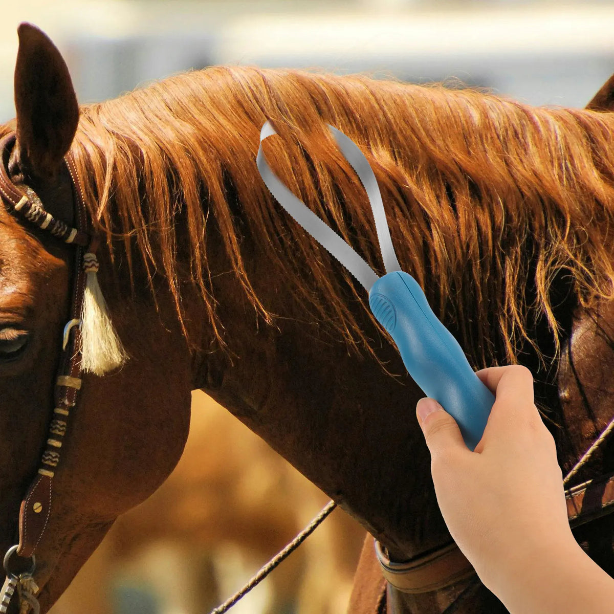Stainless Steel Shedding Brush Serrated - ProPawPet.com