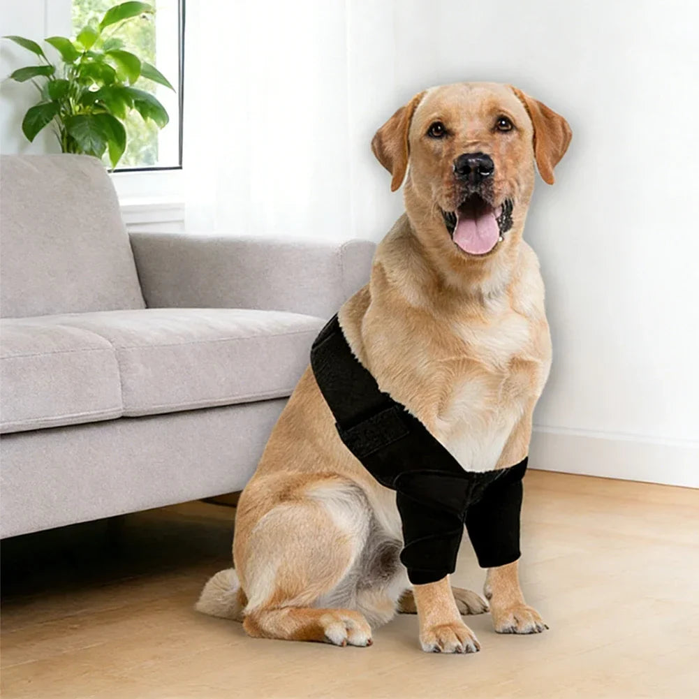 Dog Full Elbow Brace Protector for Torn - ProPawPet.com