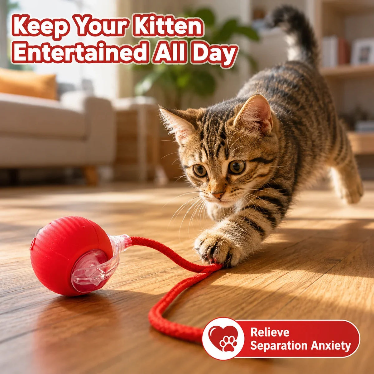 USB Rechargeable Smart Cat Toy Ball - ProPawPet.com