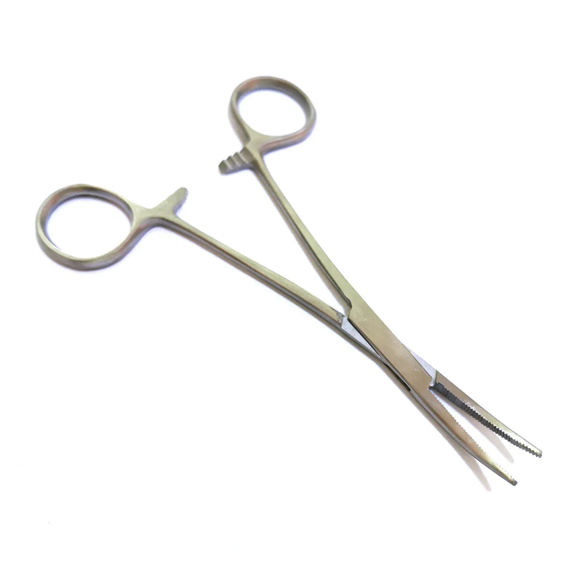 1 Pc Medical Steel Curved Head Hemostatic - ProPawPet.com