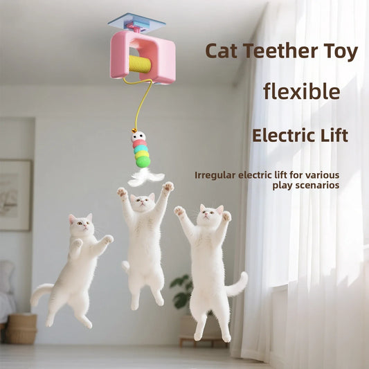 Cat toys, self-entertainment, boredom - ProPawPet.com