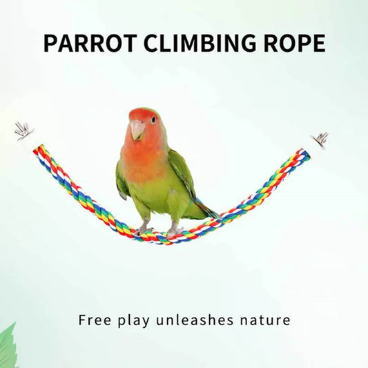 40/60/80cm Colorful Parrot Rope Hanging - ProPawPet.com