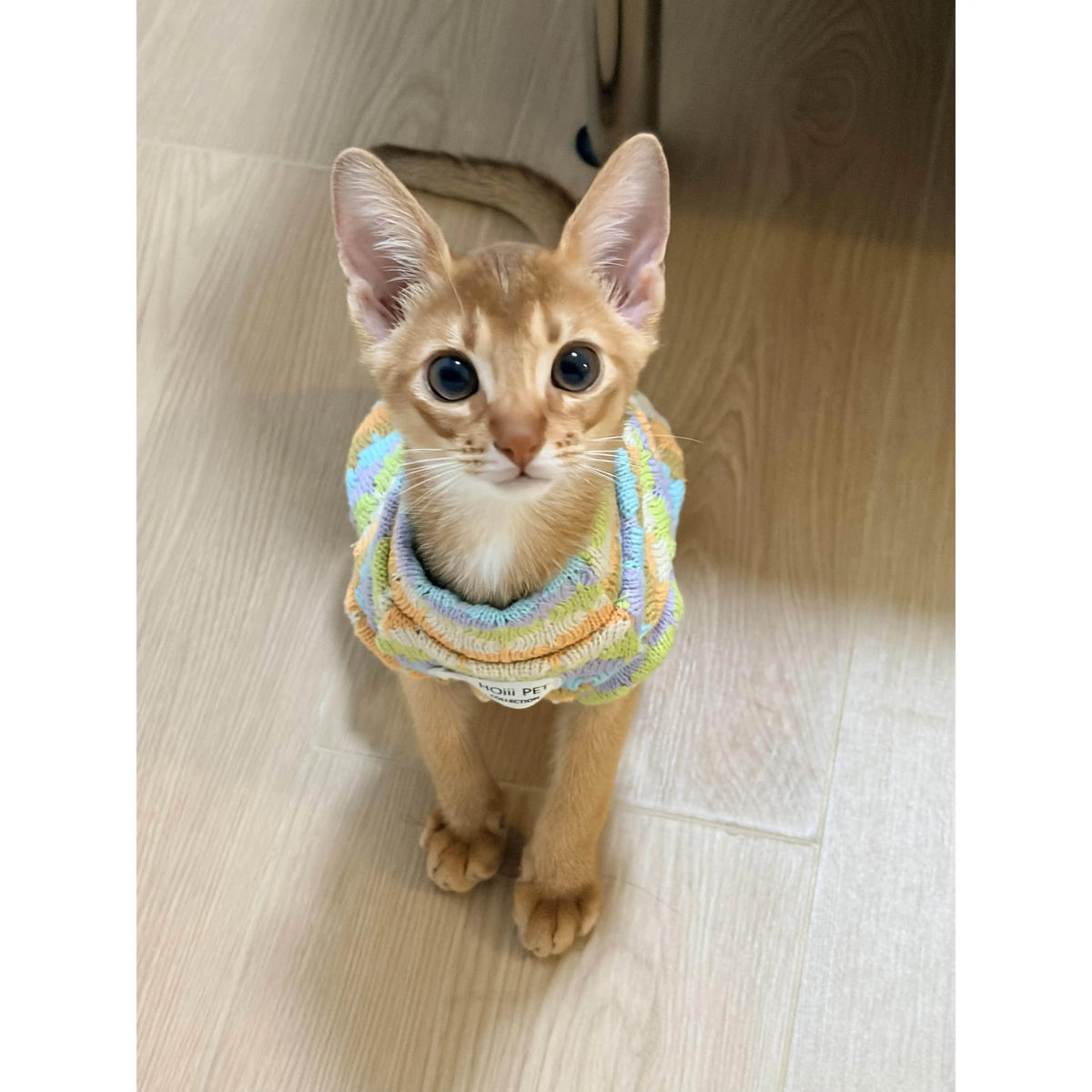 Thickened Warm Striped Sweater Vest Two Legs - ProPawPet.com