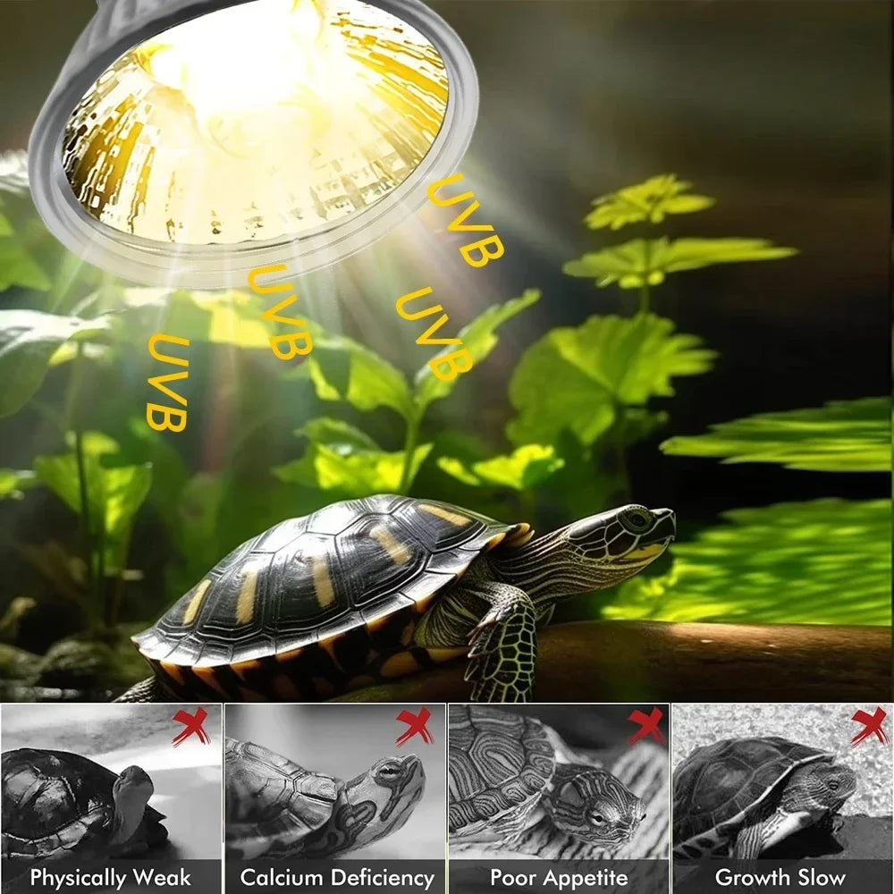 25/50/75W UVB Reptile Lamp Bulb Tortoise - ProPawPet.com