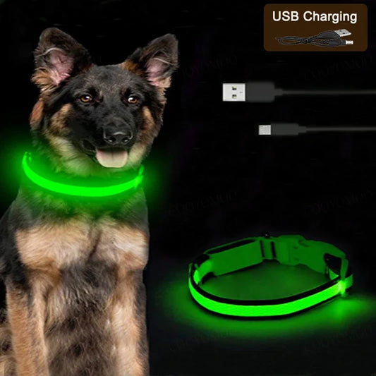 3 Modes Dog Luminous Charge Collar Led Usb - ProPawPet.com