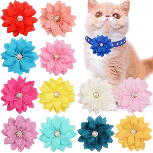 100PCS Removable Flower Collar For Dogs - ProPawPet.com