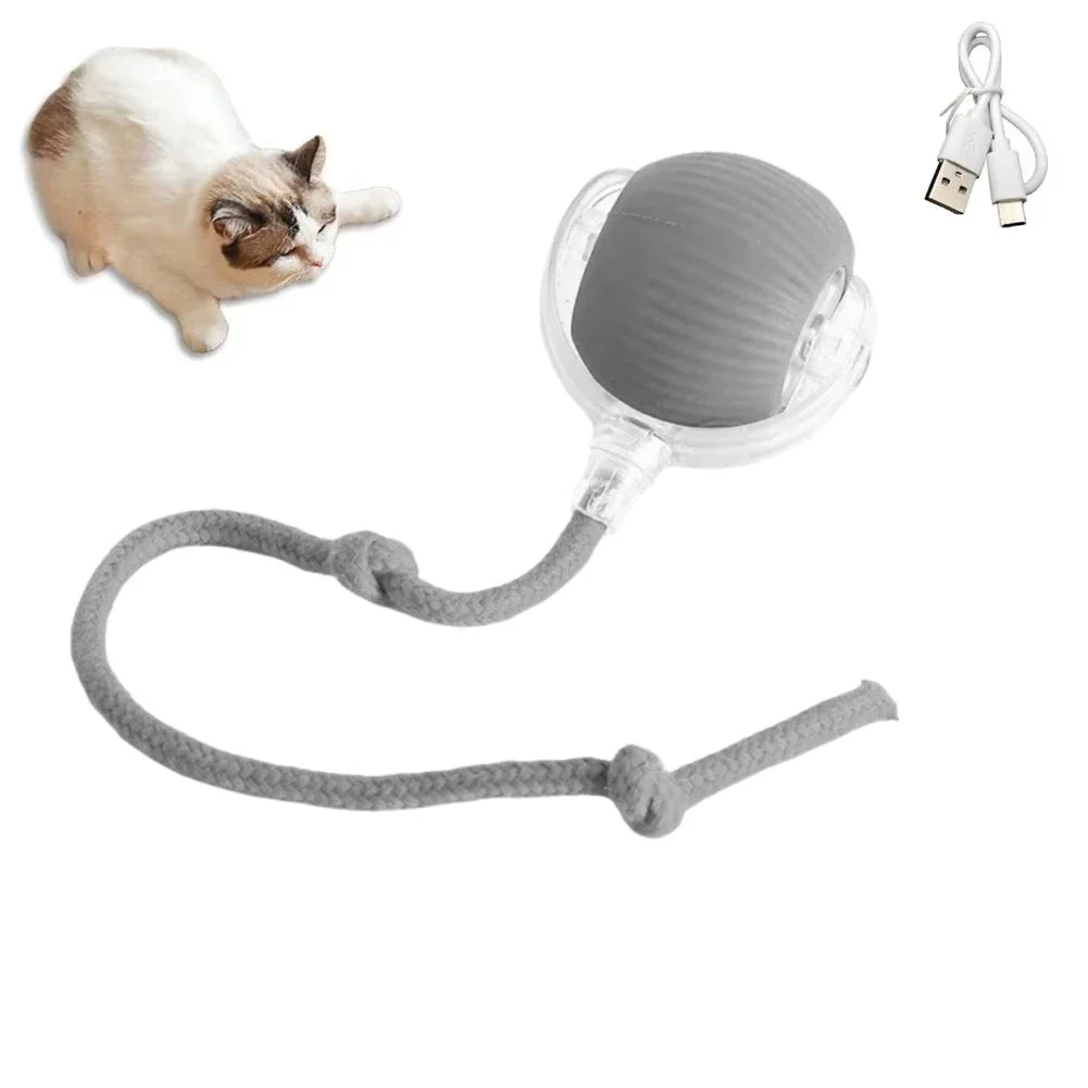 Rechargeable 1 Interactive Cat Toys Ball – Cat Supplies