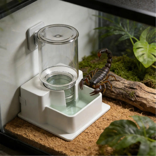 Bearded Dragon Water Fountain Automatic - ProPawPet.com