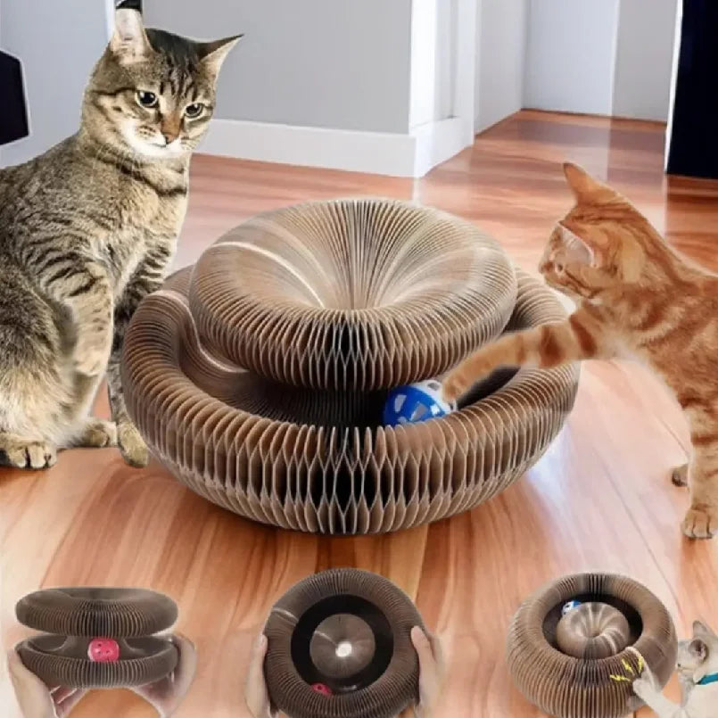Kitten Curl Toy Foldable Magic Organ Cat - ProPawPet.com