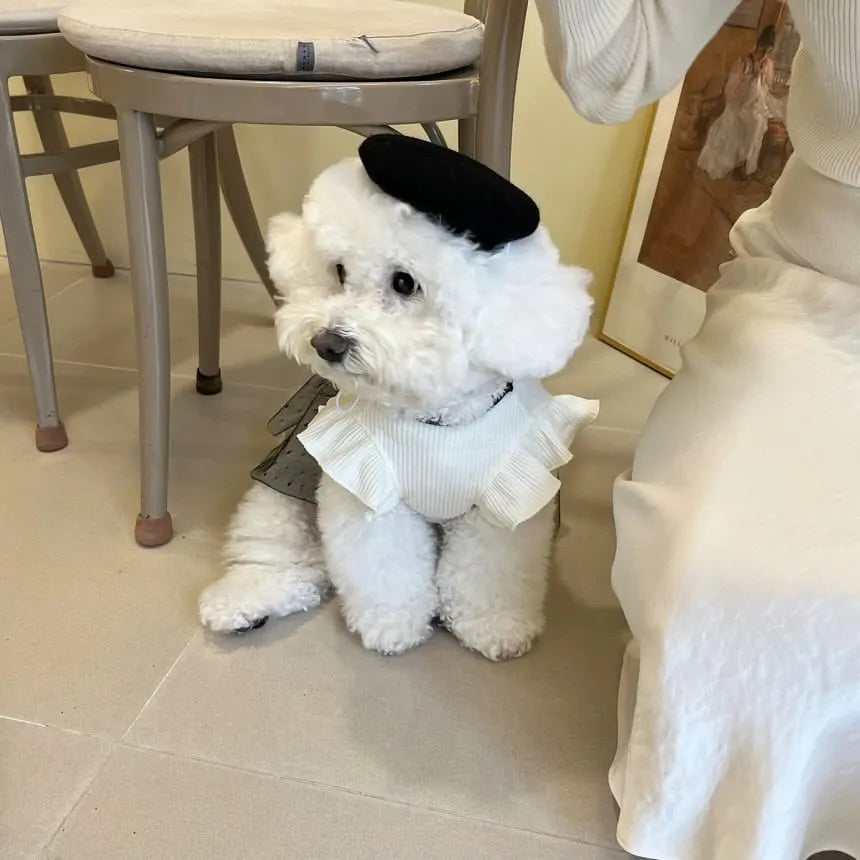 Korean Version Pet Dog Princess Dress Small - ProPawPet.com