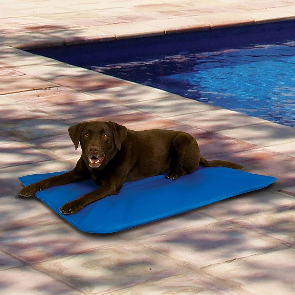 Pet Pad Summer Cooling Mat Pet Cold Gel Pad - ProPawPet.com
