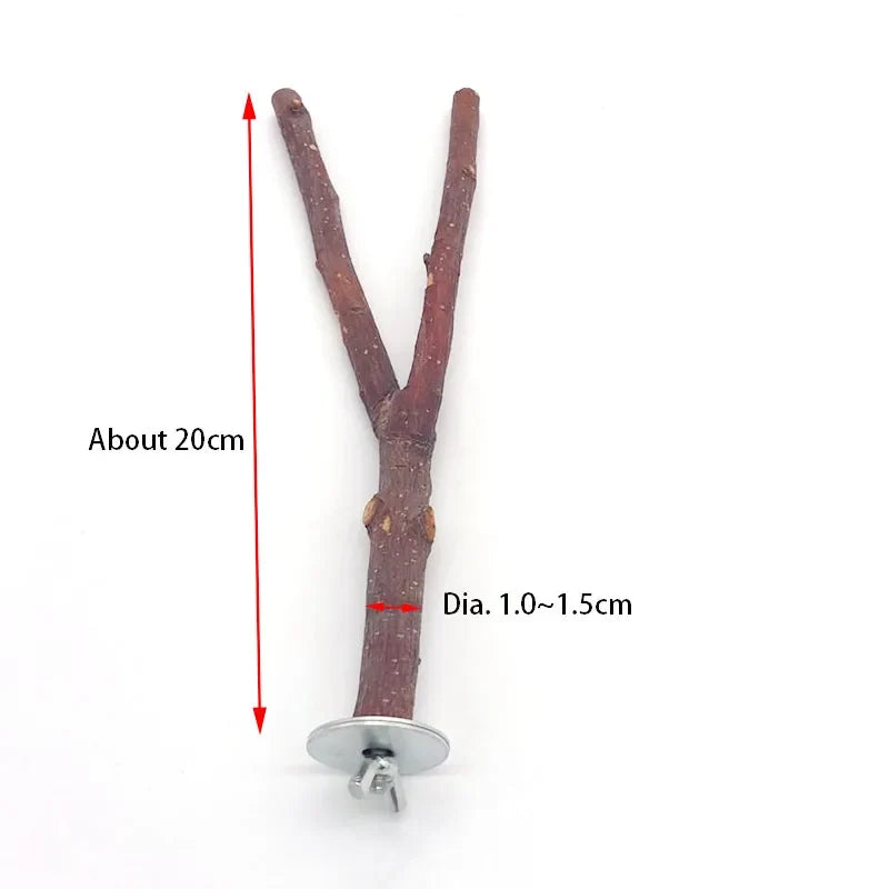 Natural Wood Pet Parrot Raw Fork Tree – Bird Toys & Play