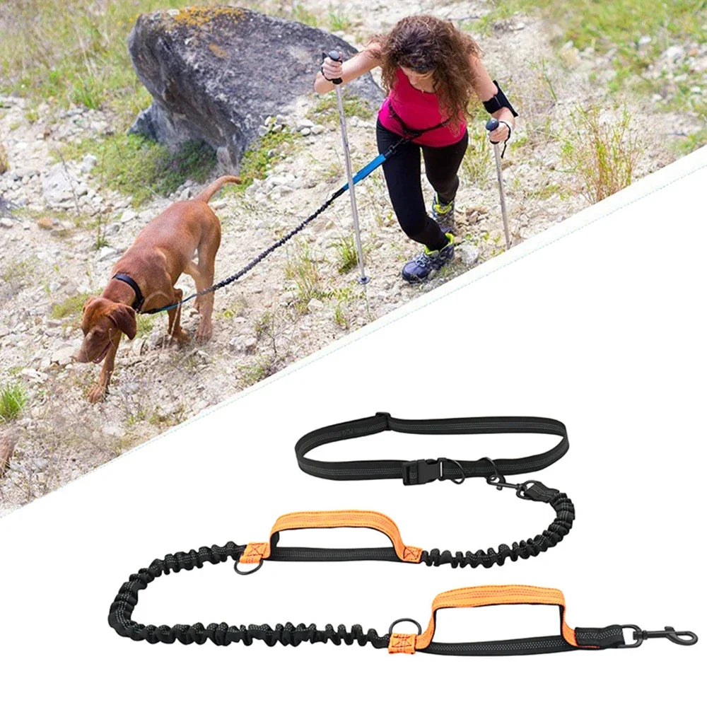 Double Elastic Reflective Running Leash - ProPawPet.com