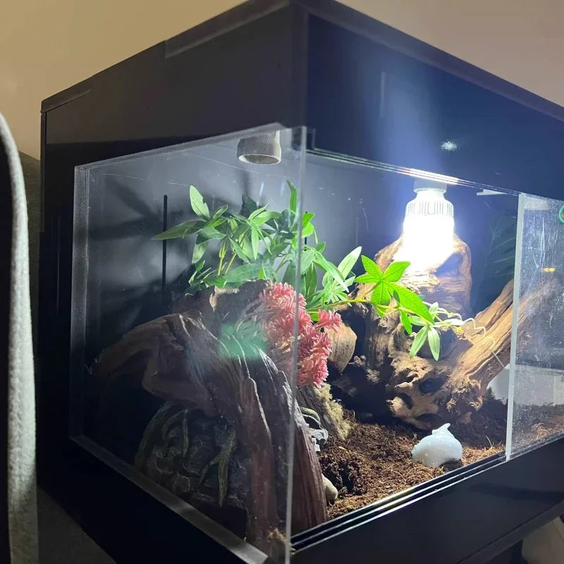 Thermostat Reptile Terrarium Turtle Lizard - ProPawPet.com