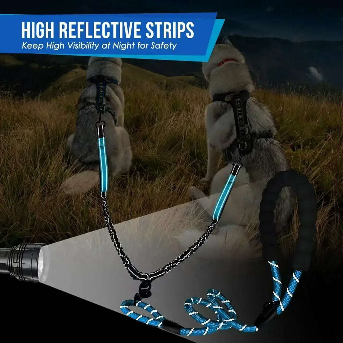 Reflective Double Dog Leash with Two Extra - ProPawPet.com