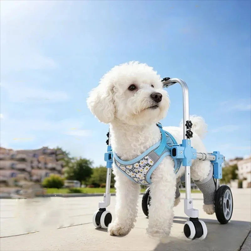 Pet Dog Wheelchair Cart Adjustable Pet - ProPawPet.com